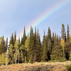 Meet your Posher, Tristin